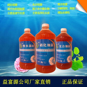 春季養(yǎng)魚生態(tài)防病
