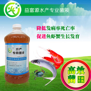 養(yǎng)魚技巧魚病有哪些如何防止魚病侵害