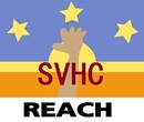 REACH检测SVHC物质清单SVHC211种物质检测,汕头塑胶检测REACH报告国家认可图片