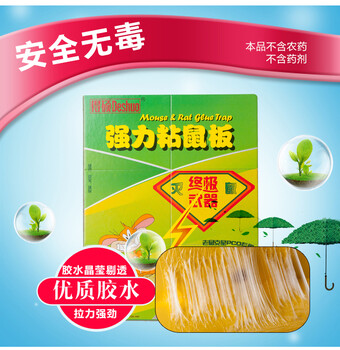 得碩強(qiáng)力粘鼠板老鼠貼捕鼠器廠家招代理經(jīng)銷商