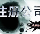 朝阳管庄公司注册代理记账股权变更申请一般人图片