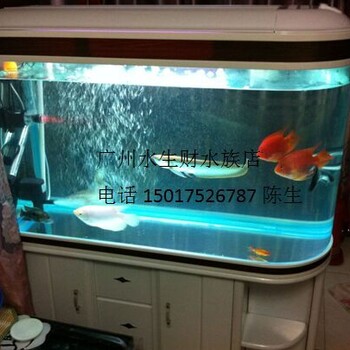 广州天河清洗鱼缸，广州白云鱼缸上门清洗公司