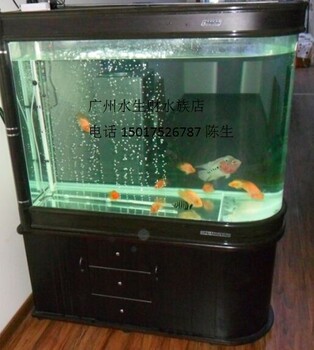 广州上门清洗鱼缸公司，白云哪里清洗鱼缸便宜
