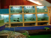 广州地区定做海鲜池鱼缸三层海鲜池设备全套定做海鲜池鱼缸