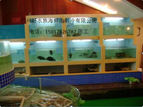 水产设备海鲜池鱼缸现场设计海鲜池效果图水产海鲜池定做图片5