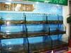 深圳海鲜鱼池设计深圳海鲜鱼池改造