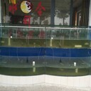 白云區(qū)海鮮池定獵德街道海鮮池定做價格海鮮池定做批發(fā)_海鮮池定