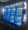 汕頭海鮮池魚缸定做汕頭海鮮池魚缸制作汕頭魚缸定做廠家