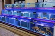 中山连锁超市水产海鲜池多层三层贝类池定制设计产地尺寸定做