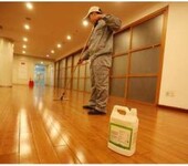 天河区洗地板公司_塑胶地板/PVC地板/实木地板清洗打蜡