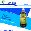 em益生菌去除污水效果咋样图片