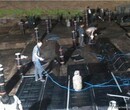 苏州平江区专业卫生间做防水、卫生间天花板漏水漏水、屋顶外墙渗水防水图片