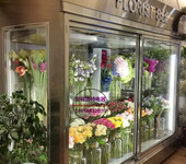 双移门风冷鲜花柜，鲜花店保湿展示柜1.5米，周口鲜花柜