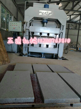 新型墙体保温板设备，沧州正通生产与制造