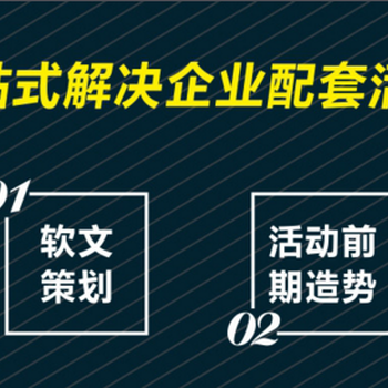 企业新闻发布会：包写通稿，包邀请媒体，包发布新闻的公司