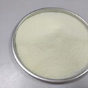 灤平玉米預糊化淀粉廠家
