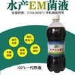 水产益生菌EM原液微生态制剂哪家好？图片