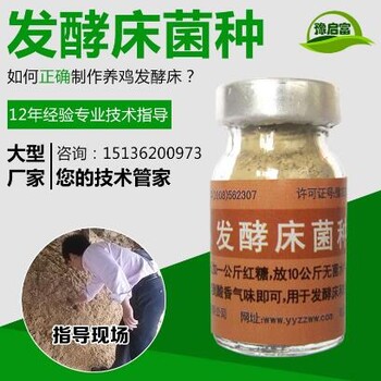 详细讲解启富发酵床菌种制作发酵床养鸡的过程