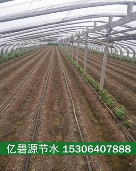 运城蔬菜滴灌安装工程系统设计方案