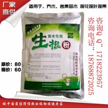 南阳大树生根粉厂家苗木专用生根粉品牌