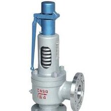 升降式止回阀乌鲁木齐直销处现货供应DN100图片
