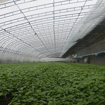 北京蔬菜大棚搭建/温室大棚建造/钢结构大棚/大棚骨架制作