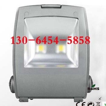 LED泛光燈KLF5030A
