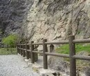 供应山东仿木栏杆石雕栏杆河道护栏厂家加工定做图片