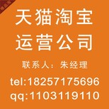 淘宝店铺代理运营代运营托管公司从0到百万！！！图片4