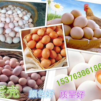 能够作为原料用的改善蛋壳颜色产品