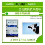 能调节奶牛肠道的奶牛微生态生产厂商批发