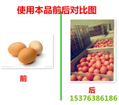 治疗鸡蛋壳不好看蛋壳质量差提高蛋壳品质