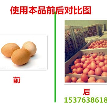 鸡蛋壳颜色发白沙壳蛋的有效治疗措施