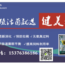 猪喂益生菌能降低氨臭吗图片