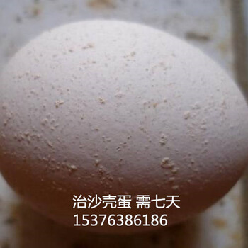 好策略：治疗鸡沙皮蛋软皮蛋提高蛋壳质量