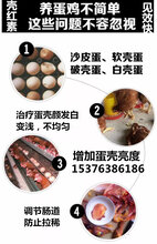 专门管蛋壳改善蛋壳品质的产品图片