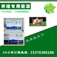 养猪提高饲料利用率喂猪益生菌图片