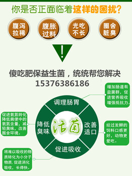 牛羊益生菌包被的提高采食量