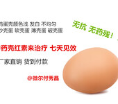 蛋鸡增加蛋壳厚度用蛋鸡微生态