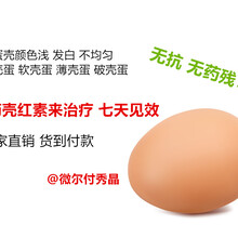 后期鸡蛋壳发暗增加蛋壳亮度的产品