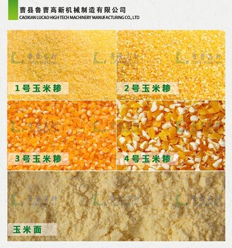 河南濮阳玉米深加工机器玉米脱皮制糁机玉米面粉机