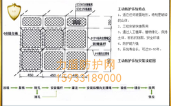 GER2型主动防护网厂家护坡网图片3