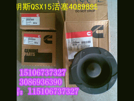  Nozzle 207245/205463 (seal ring of lifter injector of Chongkang injector)