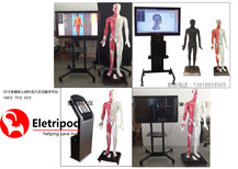 42寸多媒体人体针灸穴交互数字平台ET/WAT-42M图片0