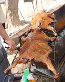 罗湖桂园烧烤外卖烤鳄鱼鳄鱼宴