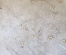 怒江橋面板混凝土保護劑圖片
