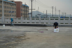 祥焕砼清水混凝土保护剂,南京桥面板混凝土保护剂图片1