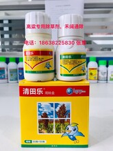 高粱專用除草劑清田樂牌二氯莠去津，禾闊雙除圖片
