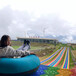 人造草坪生产塑料草皮铺盖彩虹滑板安装场地整体打包