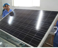 青島265W多晶高效率太陽能電池板批發廠家
